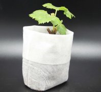 無紡布種植袋釘子多少錢一個(gè)？它的優(yōu)缺點(diǎn)是什
